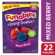 Funables Fruity Snacks Mixed Berry Fruit Snacks, 17.6 oz, 22 Count